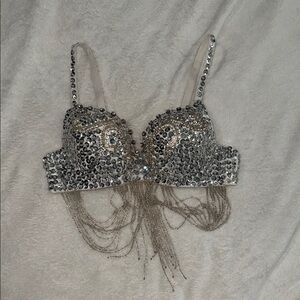 Silver Sequin Embellished Bra